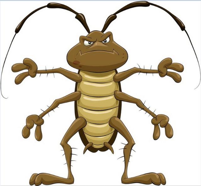 《居家蟲害防制寶典》--蟑螂 - 今日頭條(TouTi.jpg