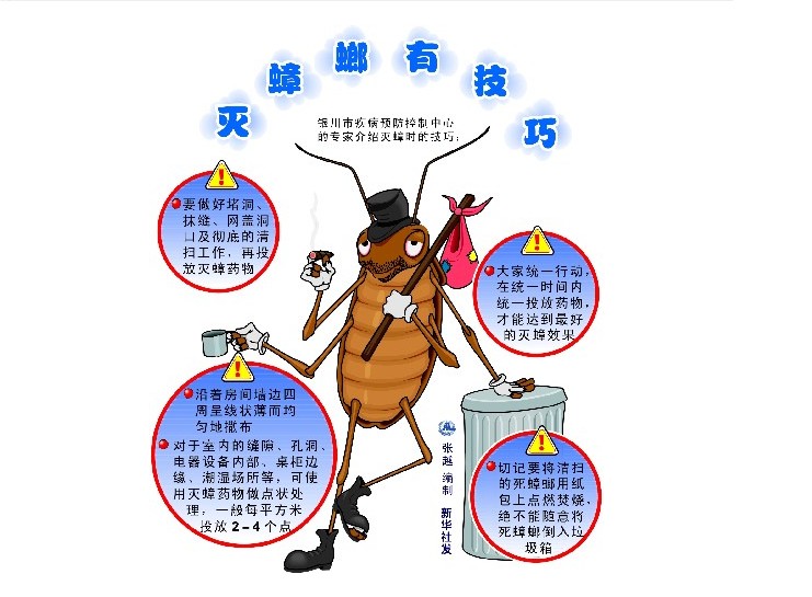 朝陽區滅蟑螂公司哪家正規.jpg