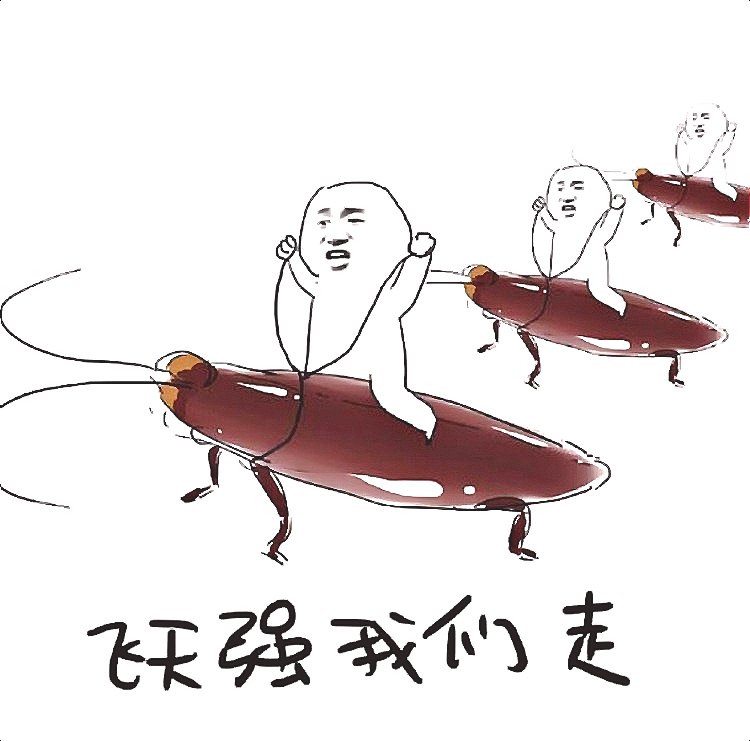 1580543353307031.jpg 蟑螂 (101).jpg