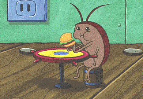 滅蟑螂公司哪家好 (2).gif