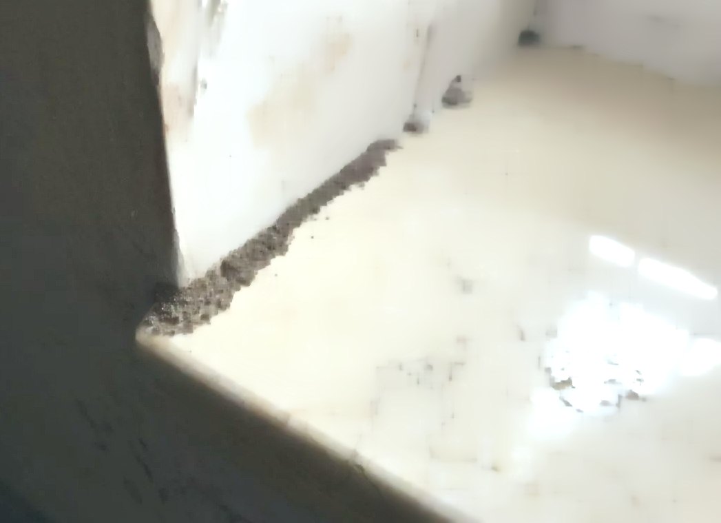 【白蟻】防治白蟻小知識.jpeg