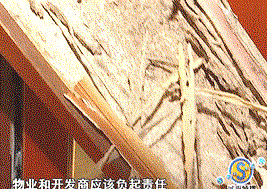 1581392826142564.gif 深圳白蟻防治 (7).gif
