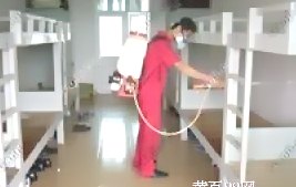 深圳殺蟲公司 (1).gif