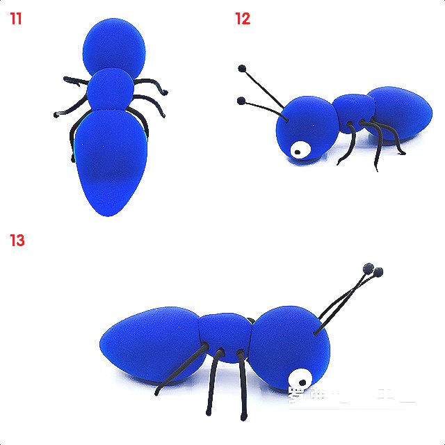 深圳殺蟲公司教您如何滅螞蟻 (96).jpg