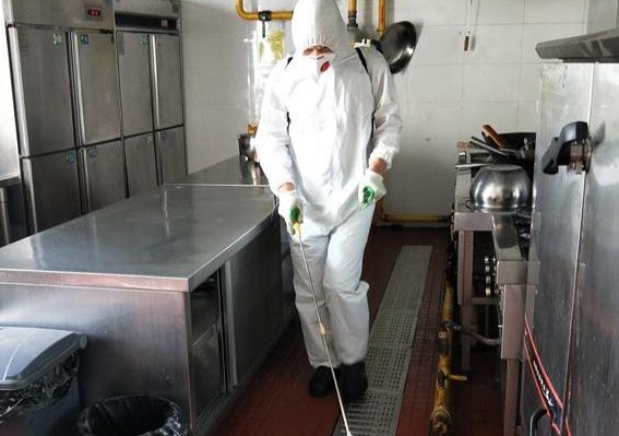 深圳殺蟲公司如何滅蚊子 (476).jpg