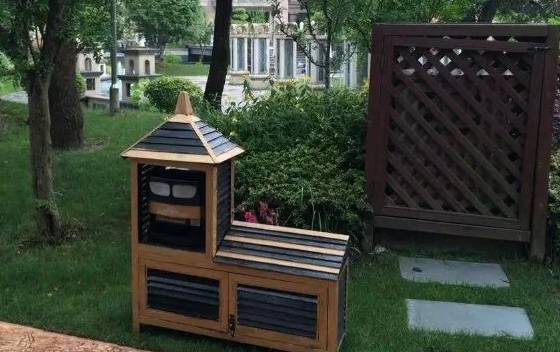 深圳殺蟲公司如何滅蚊子 (1).png