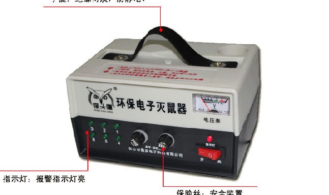 深圳滅鼠公司如何快速滅鼠 (2).gif