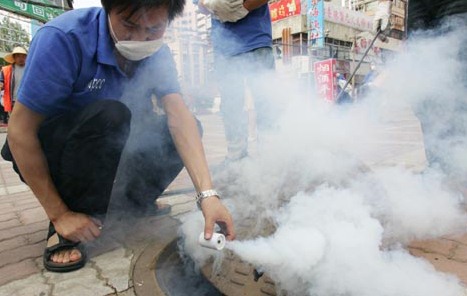 深圳殺蟲(chóng)公司教您如何快速專業(yè)滅殺蟑螂 (435).jpg