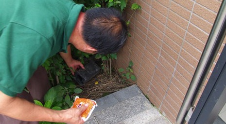 深圳滅鼠公司 如何快速有效滅鼠 (201).jpg